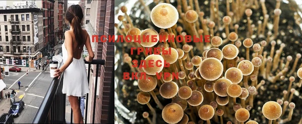 Альфа ПВП Горняк
