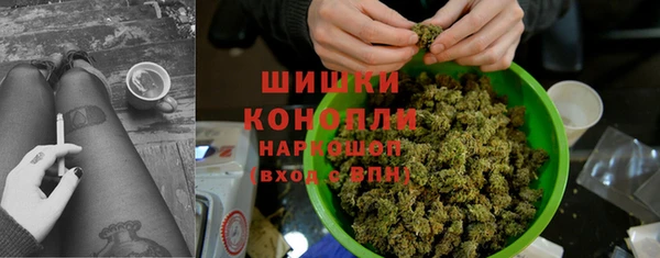 Альфа ПВП Горняк
